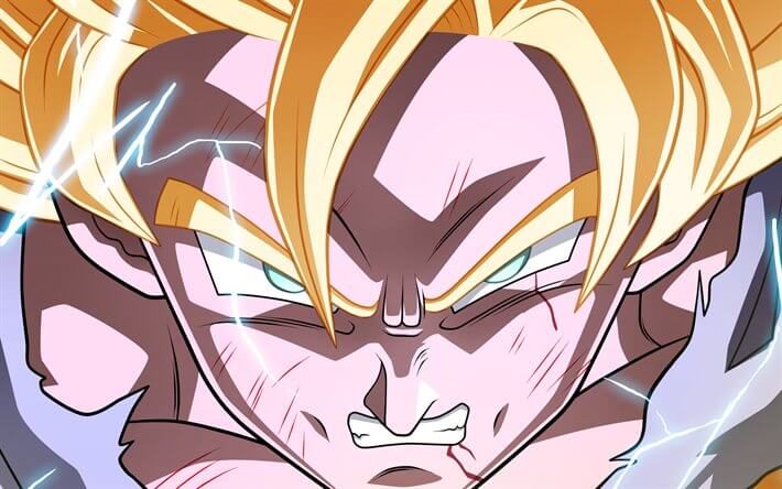 Goku y su legado